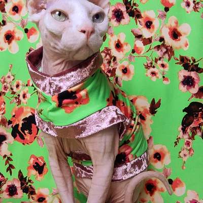 Blossoms & champagne 