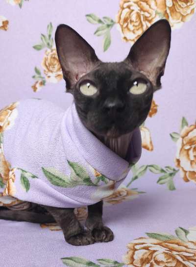 Lilac Rose Sweaterknit