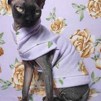 Lilac Rose Sweaterknit - Thumbnail 1