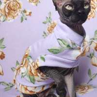 Lilac Rose Sweaterknit - Thumbnail 2