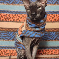 Fuzzy Animal Prints - Thumbnail 2