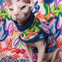 More Graffiti  - Thumbnail 1