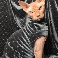 Diamond Life - Thumbnail 1