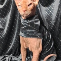 Diamond Life - Thumbnail 2