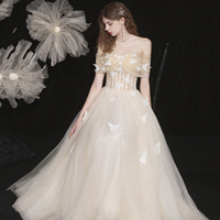 Champagne Tulle Lace Long Prom Dress, Beautiful A-Line Evening Dress - Thumbnail 4