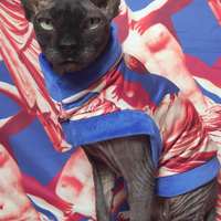 Venus De Milo - Thumbnail 2