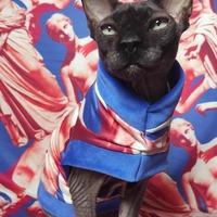 Venus De Milo - Thumbnail 1