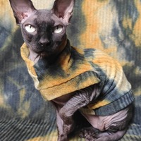 Black & Gold Ribbed For Her Pleasure  - Thumbnail 2