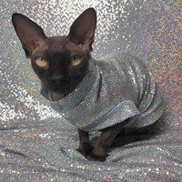 Sparkling Personality (Frozen) - Thumbnail 1