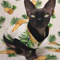 At The Copa... - Thumbnail 1