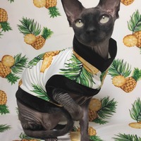 At The Copa... - Thumbnail 2