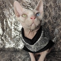 Sparkling Personality (Snake) - Thumbnail 1