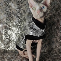 Sparkling Personality (Snake) - Thumbnail 2