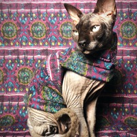 Distressed Mandala Sweaterknit - Thumbnail 2