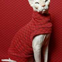 Red Diamonds - Thumbnail 1