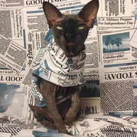 Fake News Sweaterknit - Thumbnail 1