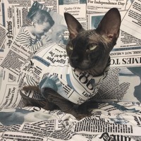 Fake News Sweaterknit - Thumbnail 2