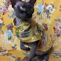 Golden Cranes - Thumbnail 1