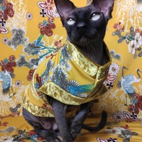 Golden Cranes - Thumbnail 2