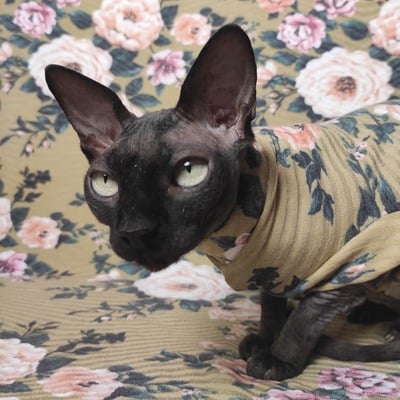 Geometric floral - Thumbnail 4