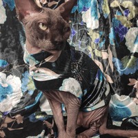 Hong Kong Garden - Thumbnail 1