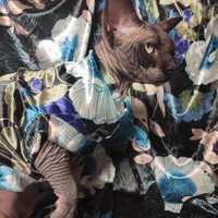 Hong Kong Garden - Thumbnail 3