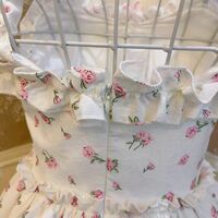 Vintage Coquette Rose Princess Bow Heart Flower White Pink Spring Summer Women Girl Strap Dress - Thumbnail 8