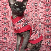 Bandana On & On - Thumbnail 1