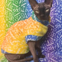 Inclusive Rainbow - Thumbnail 1