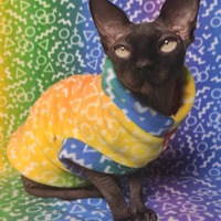 Inclusive Rainbow - Thumbnail 2