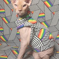 Full Spectrum  - Thumbnail 1