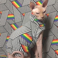 Full Spectrum  - Thumbnail 2