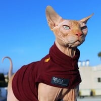 Polo Ralph Lauren -  Upcycled - Thumbnail 1