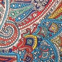 Paisley Paradise  - Thumbnail 2