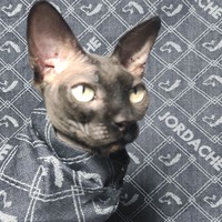 Vintage Jordache - Thumbnail 1