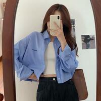 Blue Stripe Cropped Long Sleeve Shirt  - Thumbnail 2