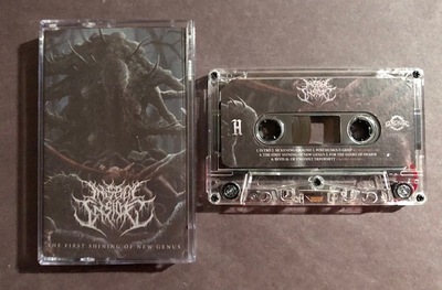 INSECT INSIDE - The First Shining of New Genus