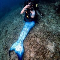 Mermaid Swimsuit Tail Swimsuit Swimable Sexy Full Set - Thumbnail 7