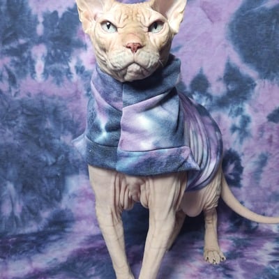 Drink the kool-aid - yeezus