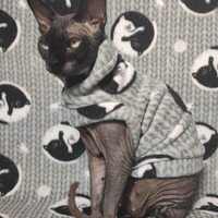 Kitty Yin & Yang - Thumbnail 1