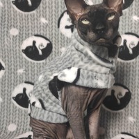 Kitty Yin & Yang - Thumbnail 3