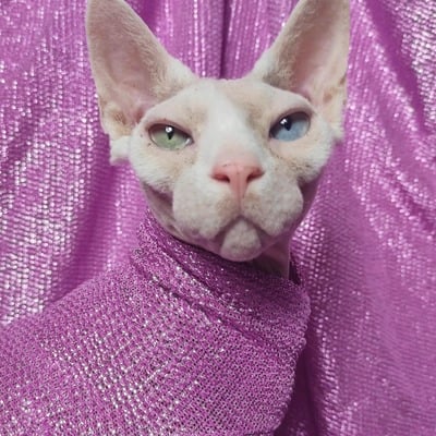 Middle age ken doll - Thumbnail 3