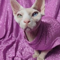 Middle Age Ken Doll - Thumbnail 2