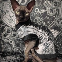 What's Your Sign? - Thumbnail 2