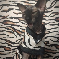 Hear Me Roar! - Thumbnail 1