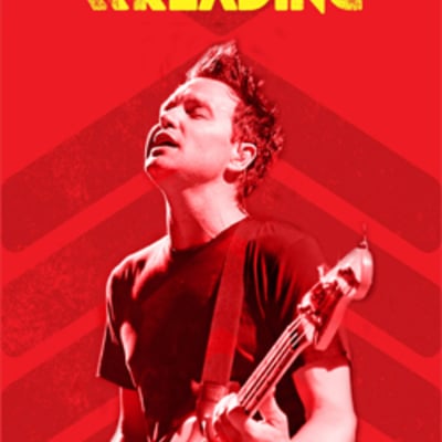 Blink 182 live reading festival 08.24.2014 dvd