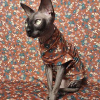 Little House On The Prairie  - Thumbnail 1