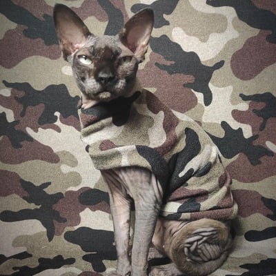 Camo sweaterknit - Thumbnail 2