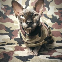 Camo Sweaterknit - Thumbnail 3