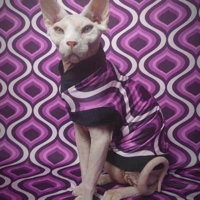 Violet beauregarde - Thumbnail 2